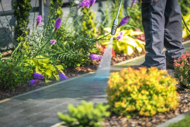 Best Sidewalk and Walkway Cleaning  in Sun Valley, NV